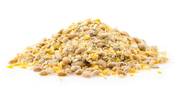 Mifuma Natur Gefluegelkorner, amestec de seminte pentru pasari de curte BIO, sac 25 Kg - imagine 2